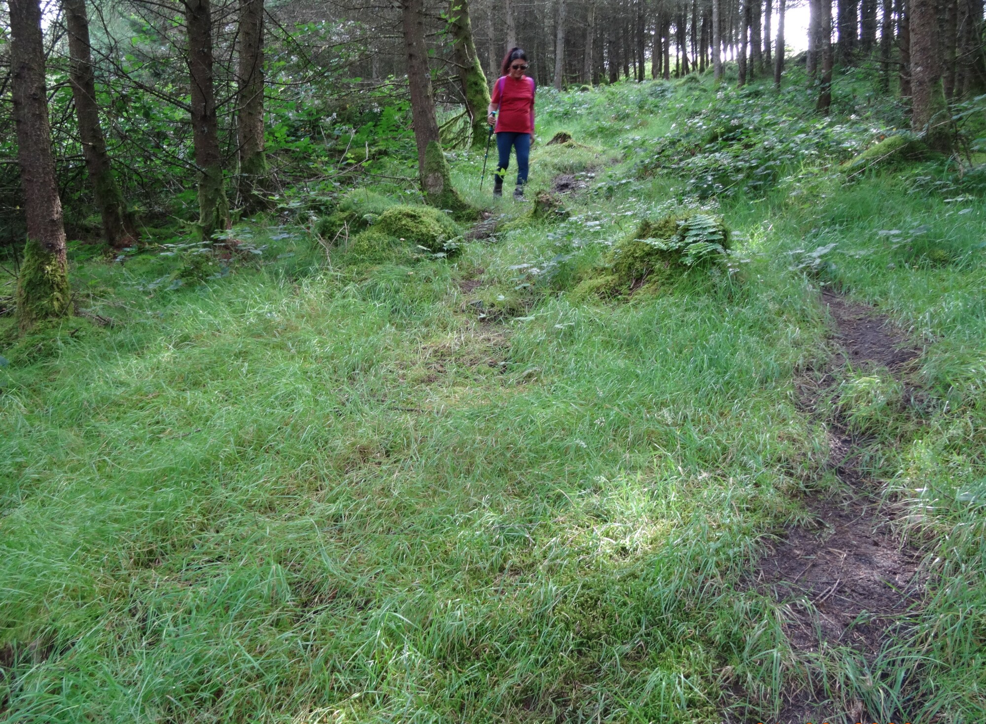 RachelSeabrook.net | Wild Walking | Craig y Pistyll | pic07